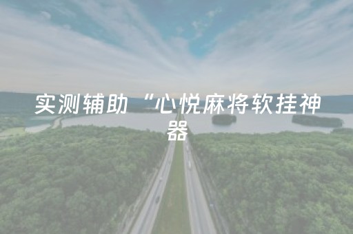 实测辅助“心悦麻将软挂神器（专用辅牌神器免安装）