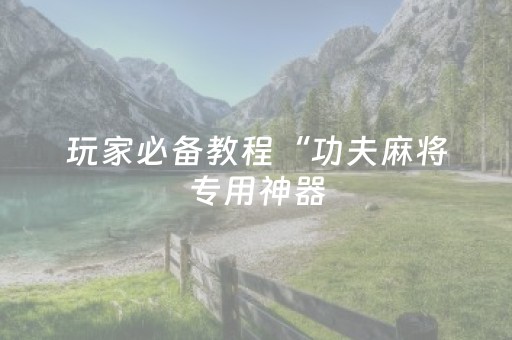 玩家必备教程“功夫麻将专用神器（助赢神器通用版）