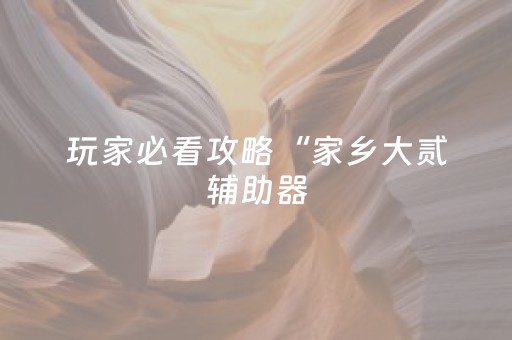 玩家必看攻略“家乡大贰辅助器（助赢神器通用版）