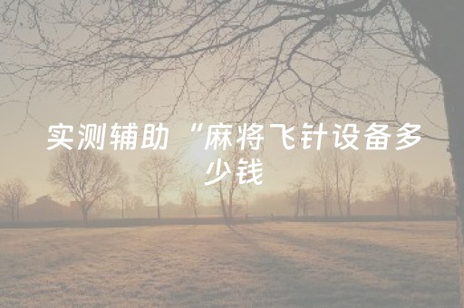 实测辅助“麻将飞针设备多少钱（专用辅牌神器免安装）