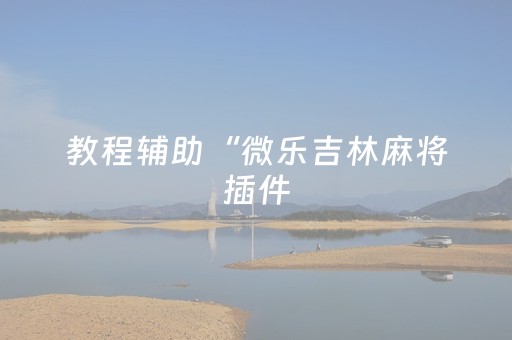 教程辅助“微乐吉林麻将插件（助赢神器通用版）