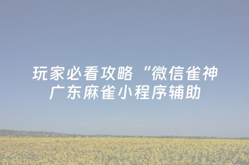 玩家必看攻略“微信雀神广东麻雀小程序辅助（助赢神器通用版）