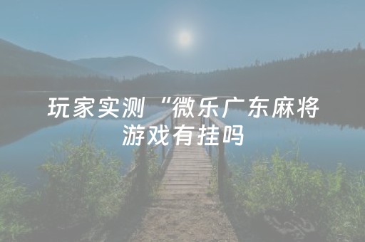 玩家实测“微乐广东麻将游戏有挂吗（专用辅牌神器免安装）