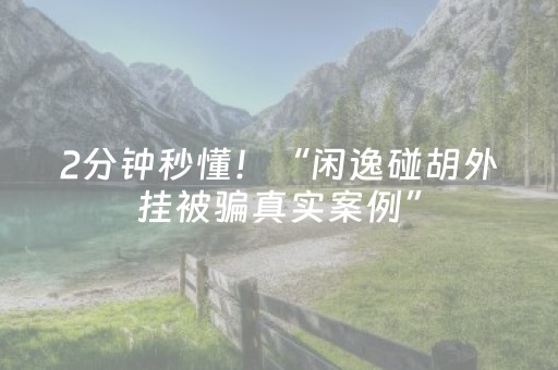2分钟秒懂！“闲逸碰胡外挂被骗真实案例”（详细辅助教程）-哔哩哔哩
