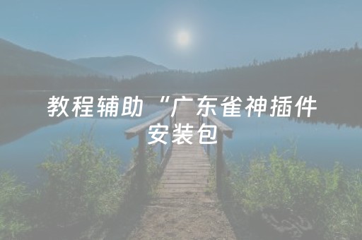 教程辅助“广东雀神插件安装包（专用辅牌神器免安装）