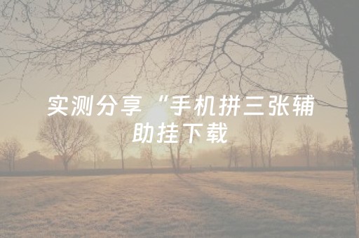 实测分享“手机拼三张辅助挂下载（专用辅牌神器免安装）
