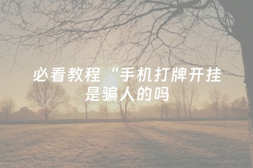 必看教程“手机打牌开挂是骗人的吗（助赢神器通用版）