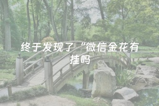终于发现了“微信金花有挂吗（专用辅牌神器免安装）