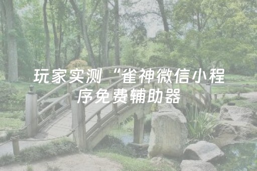 玩家实测“雀神微信小程序免费辅助器（专用辅牌神器免安装）