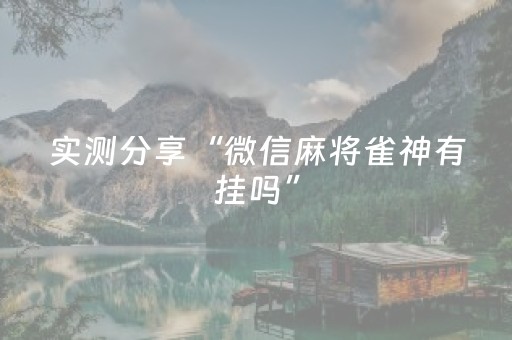 实测分享“微信麻将雀神有挂吗”（详细透视教程）-哔哩哔哩