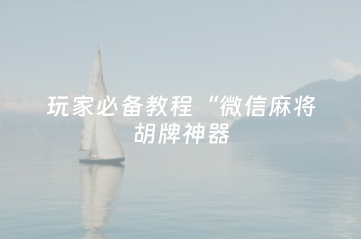 玩家必备教程“微信麻将胡牌神器（专用辅牌神器免安装）