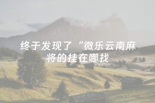 终于发现了“微乐云南麻将的挂在哪找（专用辅牌神器免安装）