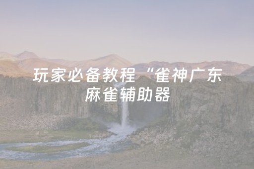 玩家必备教程“雀神广东麻雀辅助器（助赢神器通用版）