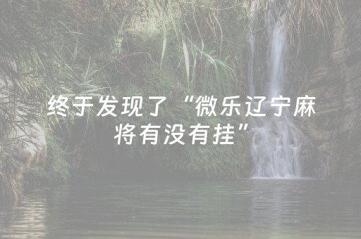 终于发现了“微乐辽宁麻将有没有挂”（详细透视教程）-哔哩哔哩
