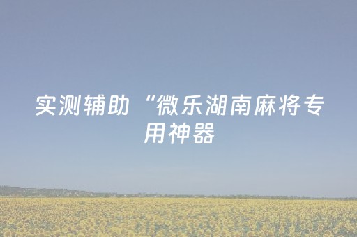 实测辅助“微乐湖南麻将专用神器（助赢神器通用版）