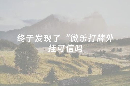 终于发现了“微乐打牌外挂可信吗（专用辅牌神器免安装）