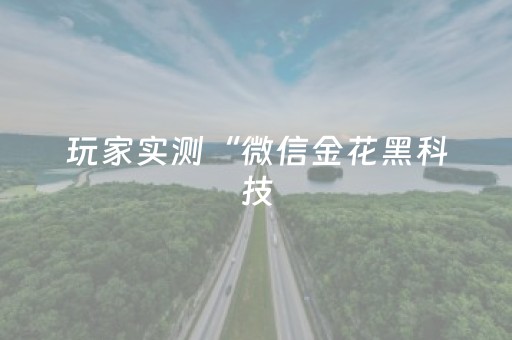 玩家实测“微信金花黑科技（专用辅牌神器免安装）