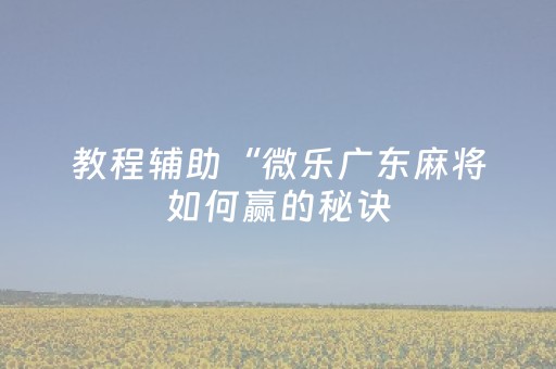 教程辅助“微乐广东麻将如何赢的秘诀（专用辅牌神器免安装）