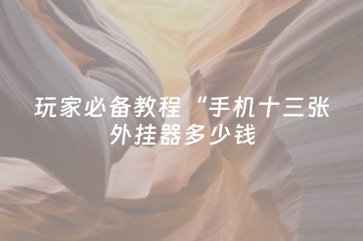 玩家必备教程“手机十三张外挂器多少钱（专用辅牌神器免安装）