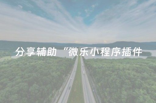 分享辅助“微乐小程序插件（助赢神器通用版）