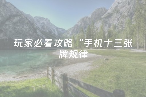 玩家必看攻略“手机十三张牌规律（助赢神器通用版）