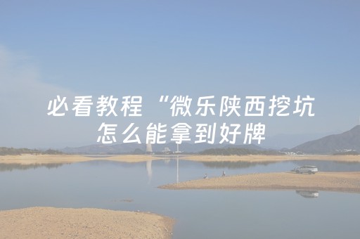 必看教程“微乐陕西挖坑怎么能拿到好牌（专用辅牌神器免安装）