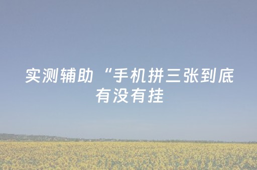 实测辅助“手机拼三张到底有没有挂（专用辅牌神器免安装）