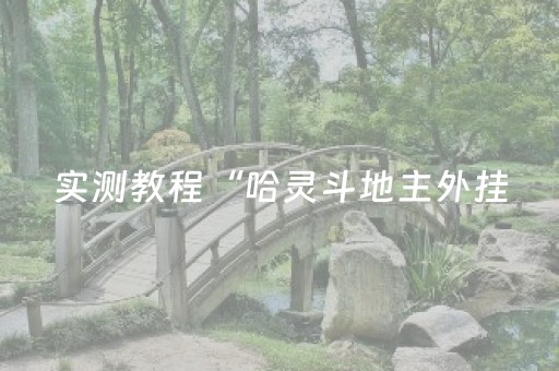 实测教程“哈灵斗地主外挂（助赢神器通用版）