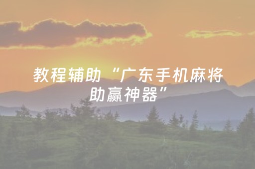 教程辅助“广东手机麻将助赢神器”（详细透视教程）-哔哩哔哩