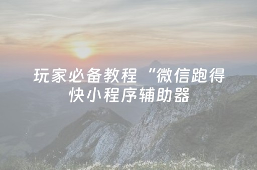 玩家必备教程“微信跑得快小程序辅助器（助赢神器通用版）