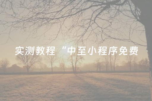 实测教程“中至小程序免费（助赢神器通用版）