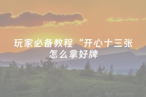 玩家必备教程“开心十三张怎么拿好牌（专用辅牌神器免安装）