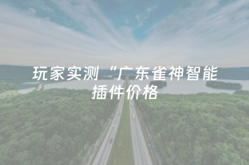 玩家实测“广东雀神智能插件价格（专用辅牌神器免安装）