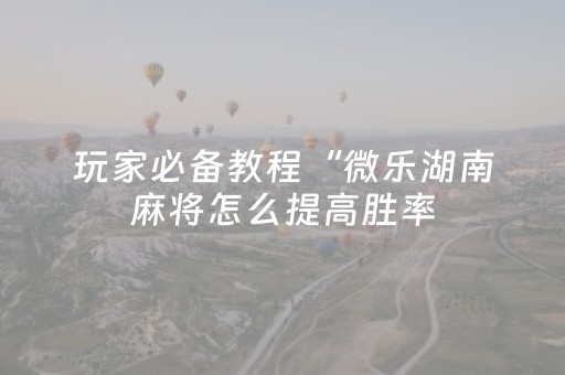 玩家必备教程“微乐湖南麻将怎么提高胜率（专用辅牌神器免安装）
