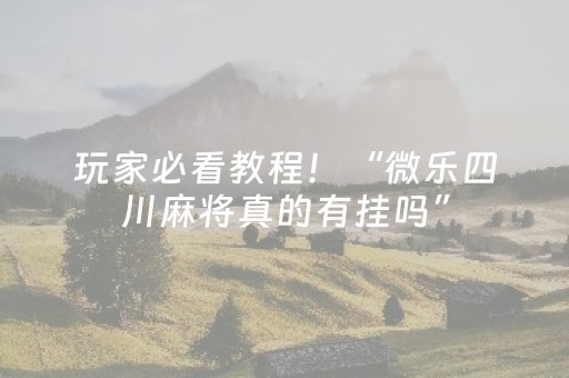 玩家必看教程！“微乐四川麻将真的有挂吗”（详细开挂教程）-哔哩哔哩