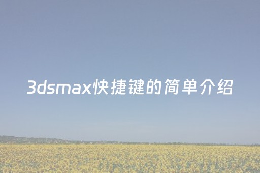 3dsmax快捷键的简单介绍