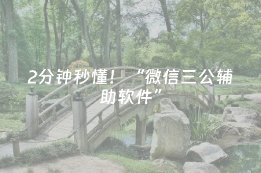 2分钟秒懂！“微信三公辅助软件”（详细开挂教程）-哔哩哔哩