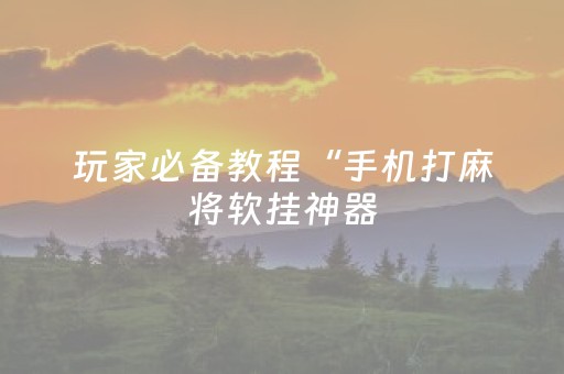 玩家必备教程“手机打麻将软挂神器（助赢神器通用版）