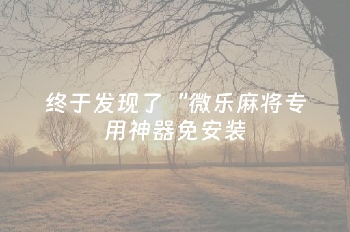 终于发现了“微乐麻将专用神器免安装（助赢神器通用版）