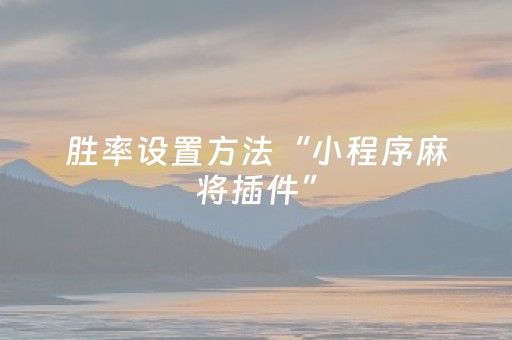 胜率设置方法“小程序麻将插件”（详细透视教程）-哔哩哔哩