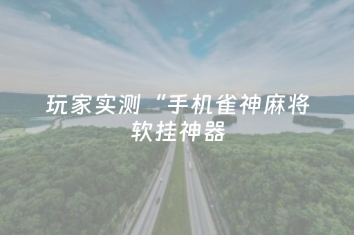 玩家实测“手机雀神麻将软挂神器（助赢神器通用版）