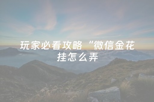 玩家必看攻略“微信金花挂怎么弄（助赢神器通用版）