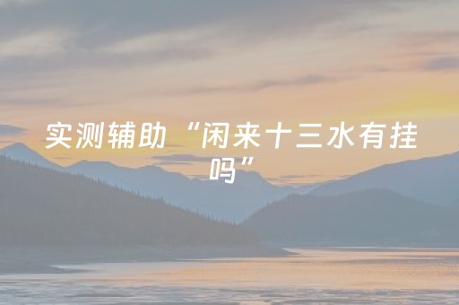 实测辅助“闲来十三水有挂吗”（详细透视教程）-哔哩哔哩