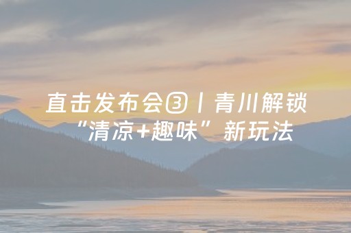 必备攻略“微信小程序江苏麻将专用神器”（赢的技巧规律)