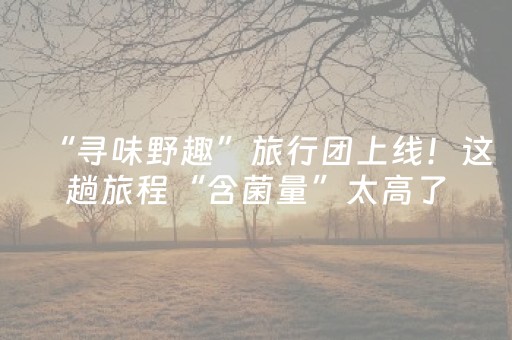 玩家必备教程“微信里的麻将确实有挂吗”（究竟是不是有挂)
