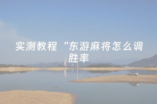 实测教程“东游麻将怎么调胜率（专用辅牌神器免安装）