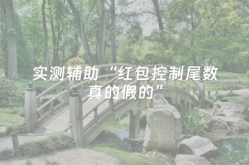 实测辅助“红包控制尾数真的假的”（详细透视教程）-哔哩哔哩