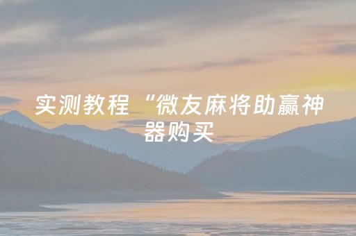 实测教程“微友麻将助赢神器购买（助赢神器通用版）