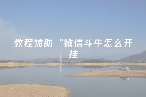 教程辅助“微信斗牛怎么开挂（专用辅牌神器免安装）
