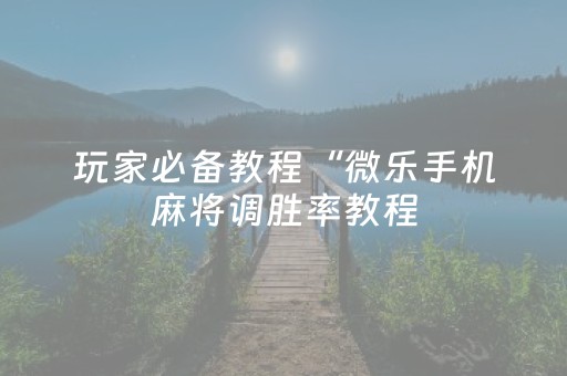 玩家必备教程“微乐手机麻将调胜率教程（专用辅牌神器免安装）